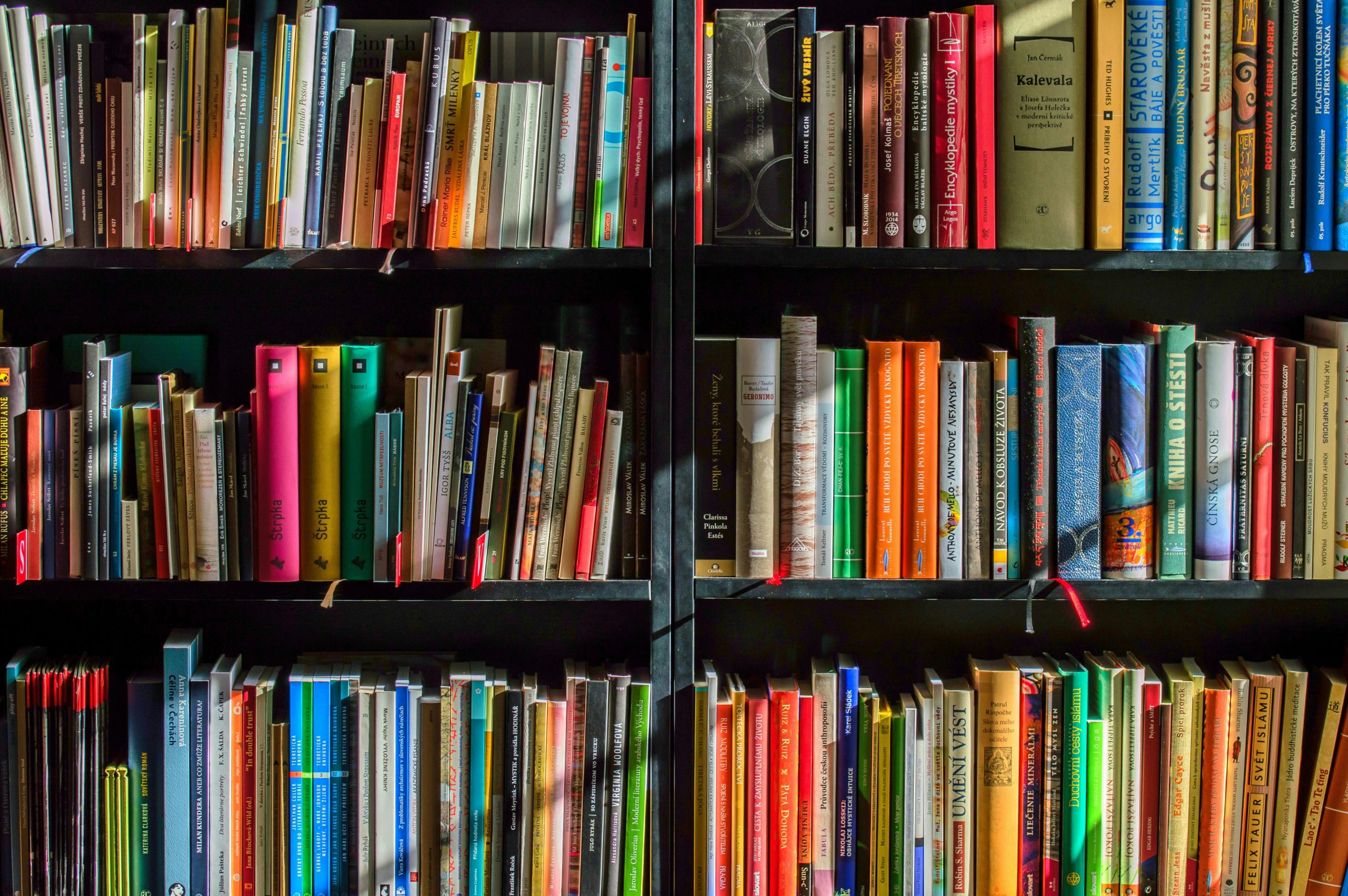 The Attendance Crisis: Why Students Are Missing School—and How Tutors Can Help